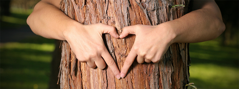 Plant a Tree